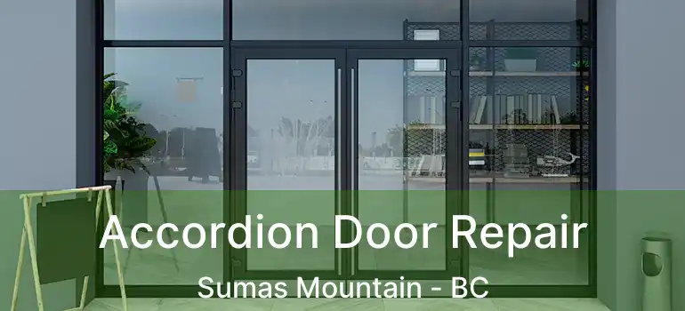  Accordion Door Repair Sumas Mountain - BC