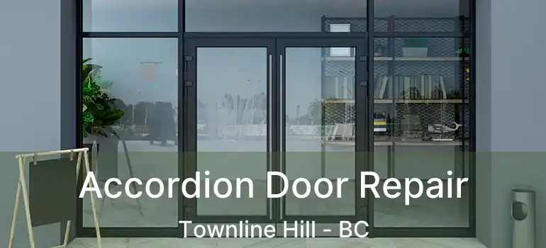  Accordion Door Repair Townline Hill - BC