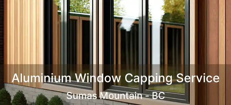  Aluminium Window Capping Service Sumas Mountain - BC