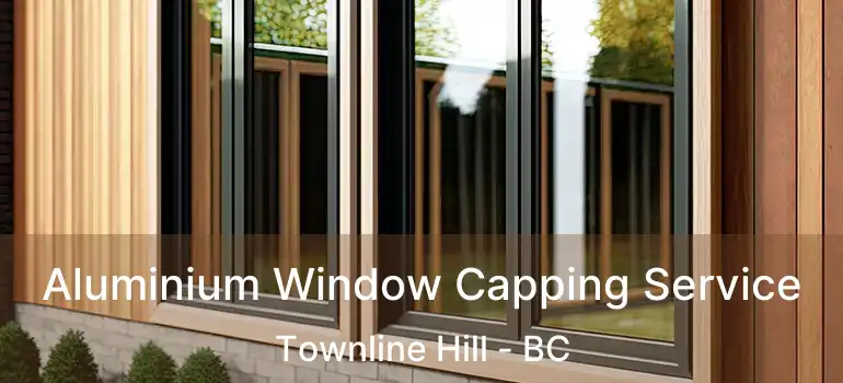  Aluminium Window Capping Service Townline Hill - BC