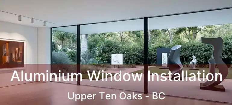  Aluminium Window Installation Upper Ten Oaks - BC