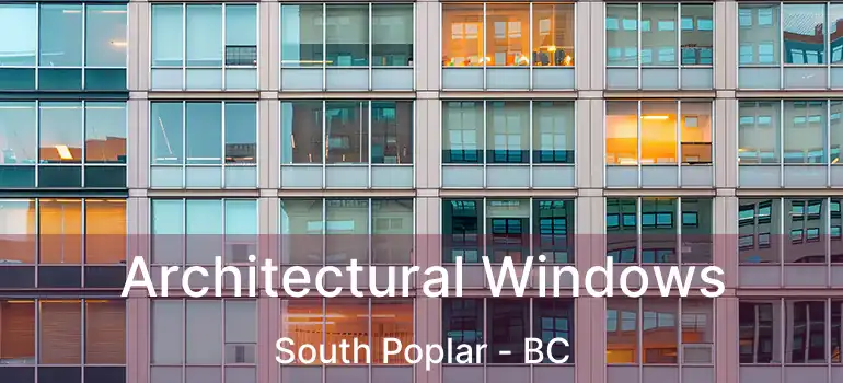  Architectural Windows South Poplar - BC