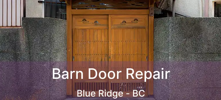  Barn Door Repair Blue Ridge - BC