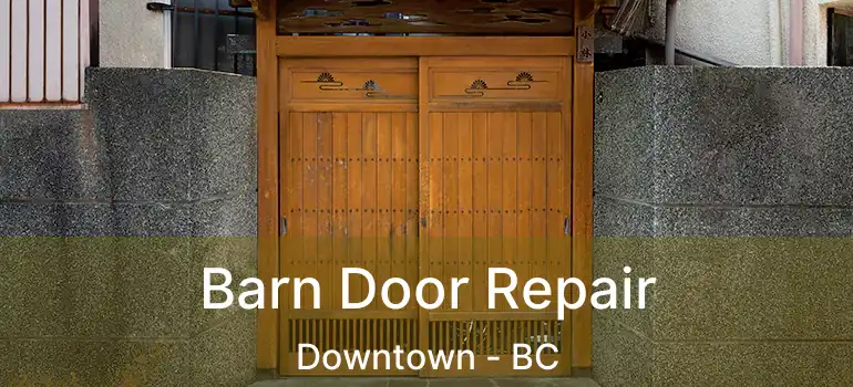  Barn Door Repair Downtown - BC