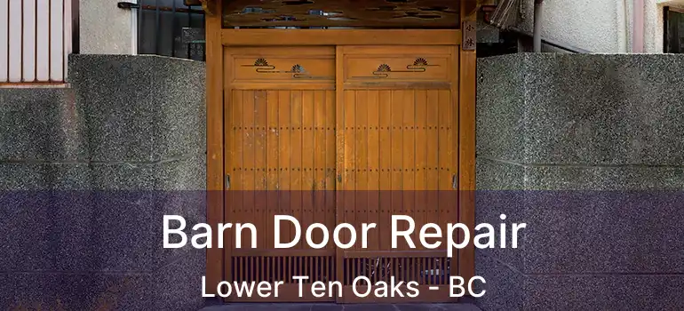  Barn Door Repair Lower Ten Oaks - BC