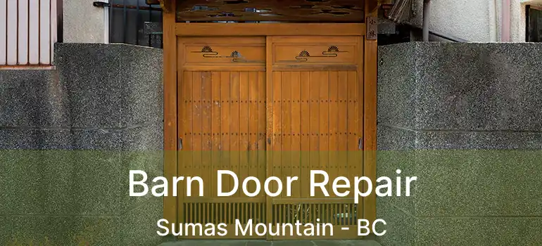  Barn Door Repair Sumas Mountain - BC