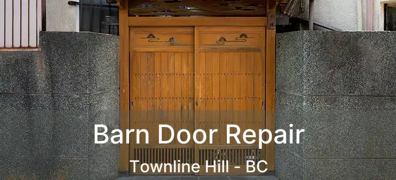  Barn Door Repair Townline Hill - BC