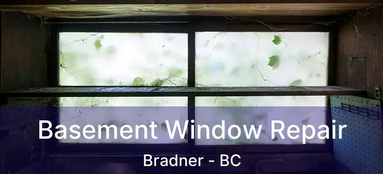  Basement Window Repair Bradner - BC