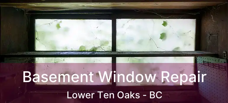  Basement Window Repair Lower Ten Oaks - BC