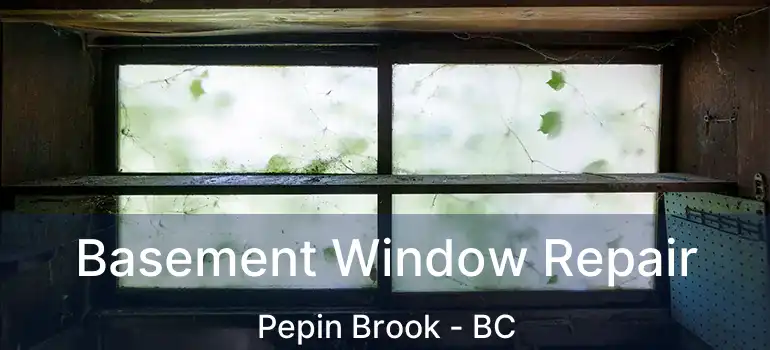  Basement Window Repair Pepin Brook - BC