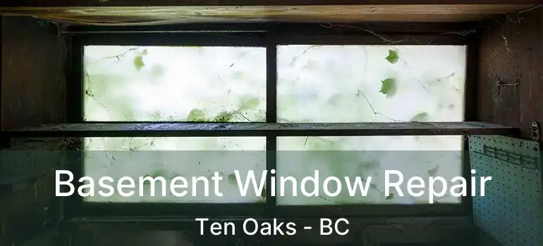  Basement Window Repair Ten Oaks - BC