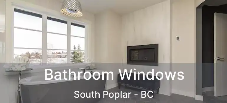  Bathroom Windows South Poplar - BC
