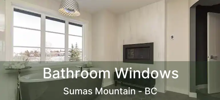  Bathroom Windows Sumas Mountain - BC