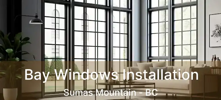  Bay Windows Installation Sumas Mountain - BC
