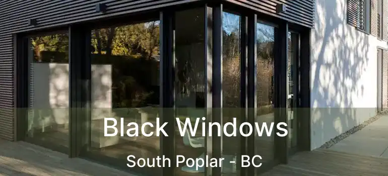  Black Windows South Poplar - BC