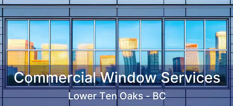  Commercial Window Services Lower Ten Oaks - BC