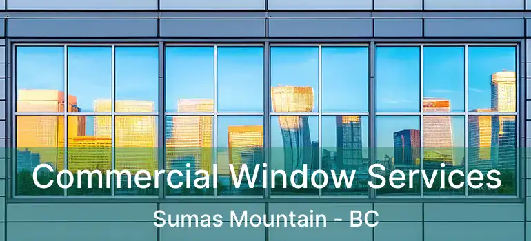  Commercial Window Services Sumas Mountain - BC