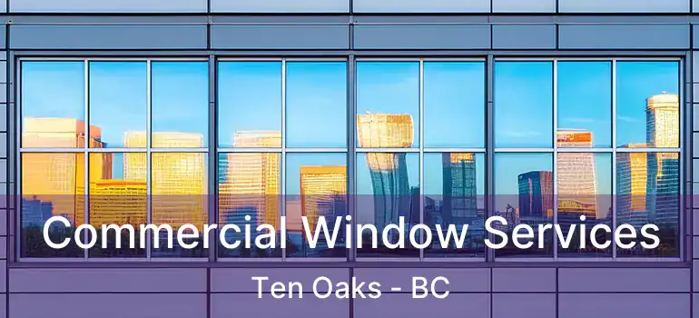  Commercial Window Services Ten Oaks - BC