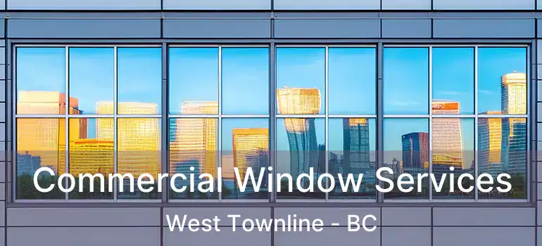 Commercial Window Services West Townline - BC