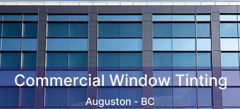  Commercial Window Tinting Auguston - BC
