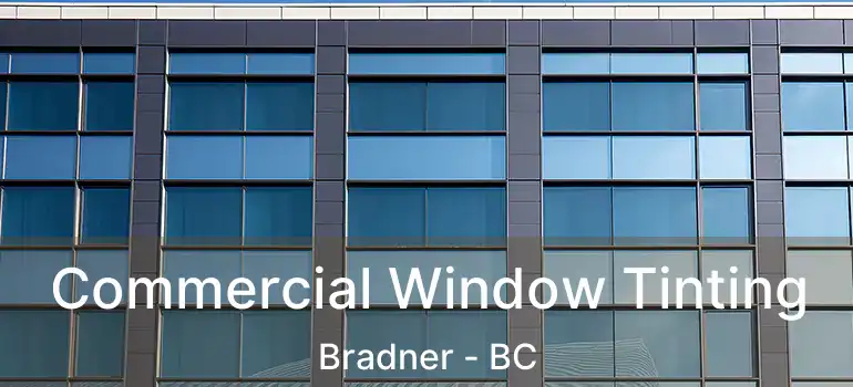  Commercial Window Tinting Bradner - BC
