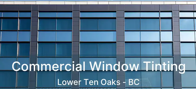  Commercial Window Tinting Lower Ten Oaks - BC