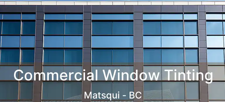  Commercial Window Tinting Matsqui - BC