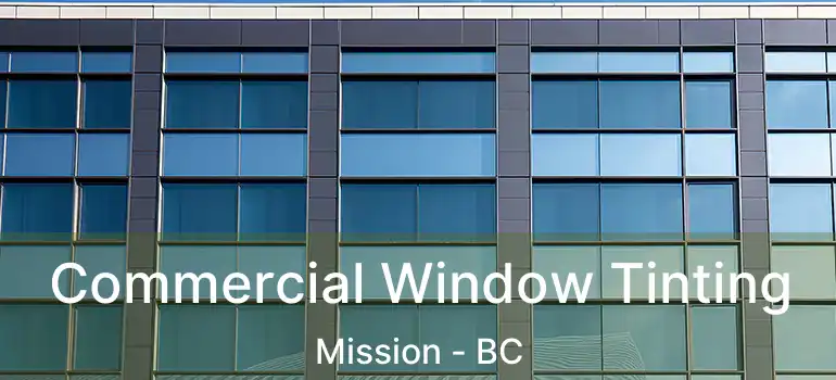  Commercial Window Tinting Mission - BC