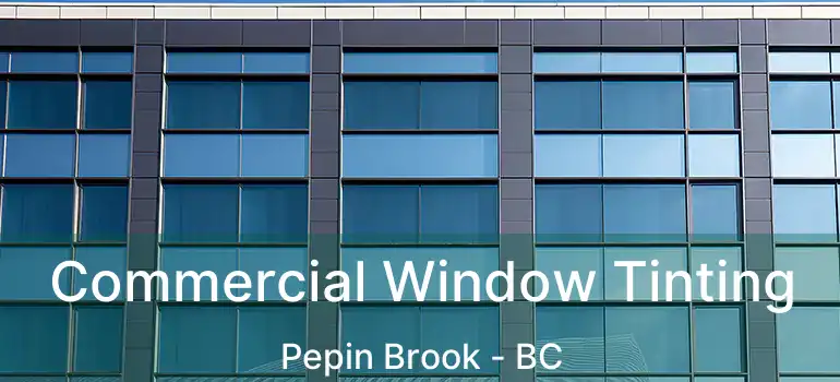  Commercial Window Tinting Pepin Brook - BC