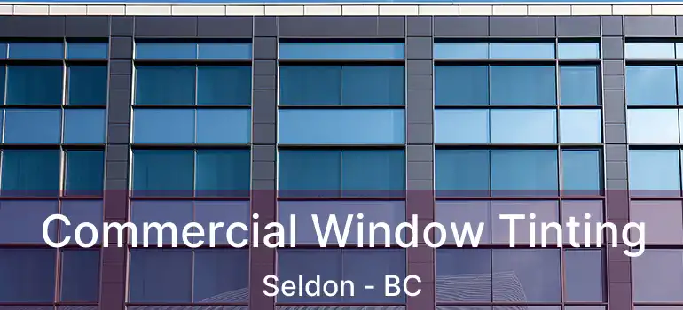  Commercial Window Tinting Seldon - BC