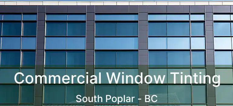  Commercial Window Tinting South Poplar - BC