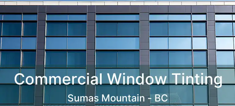  Commercial Window Tinting Sumas Mountain - BC