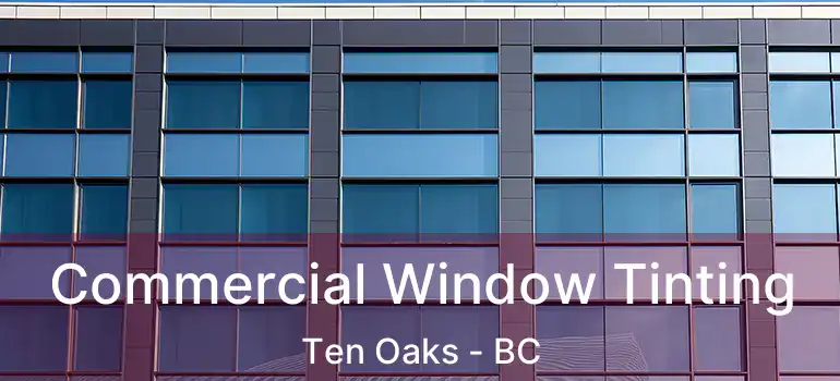  Commercial Window Tinting Ten Oaks - BC