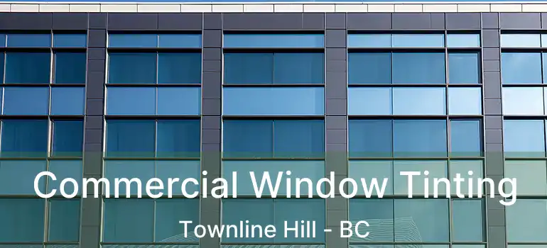  Commercial Window Tinting Townline Hill - BC