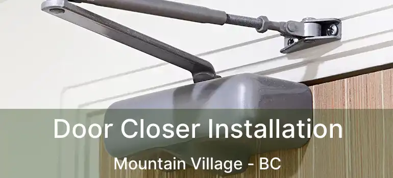  Door Closer Installation Mountain Village - BC