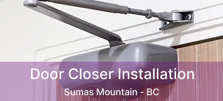  Door Closer Installation Sumas Mountain - BC