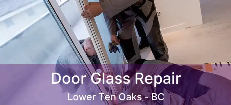  Door Glass Repair Lower Ten Oaks - BC