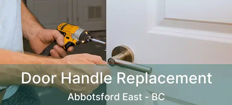  Door Handle Replacement Abbotsford East - BC