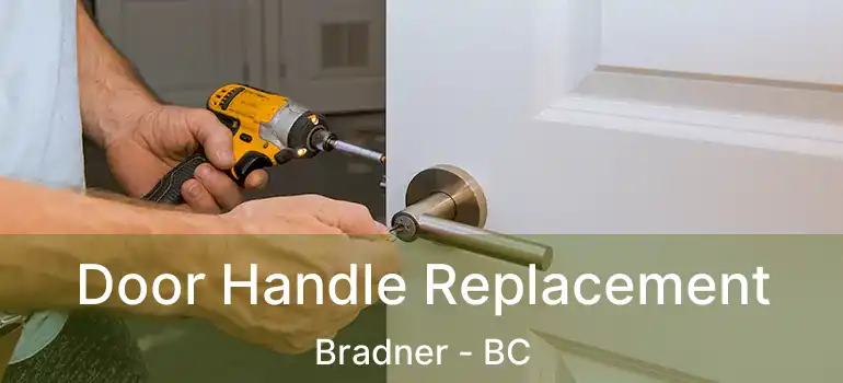  Door Handle Replacement Bradner - BC