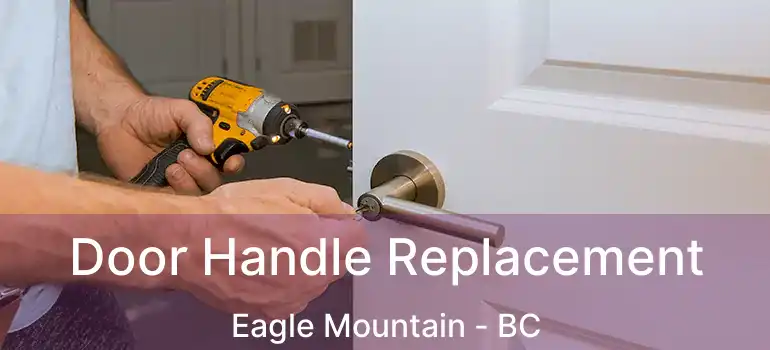 Door Handle Replacement Eagle Mountain - BC