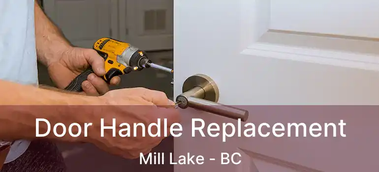  Door Handle Replacement Mill Lake - BC