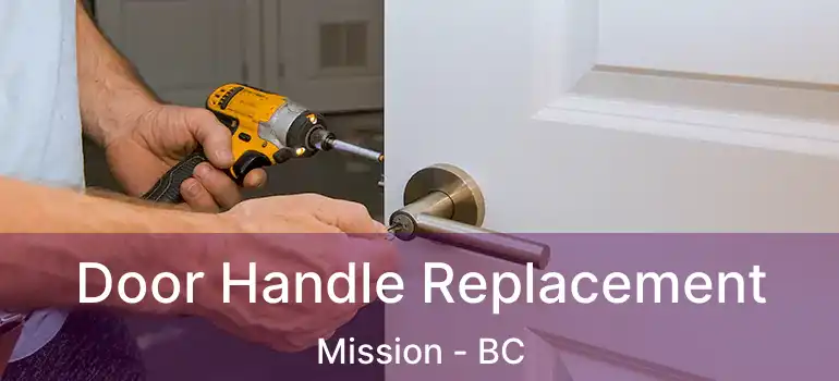  Door Handle Replacement Mission - BC
