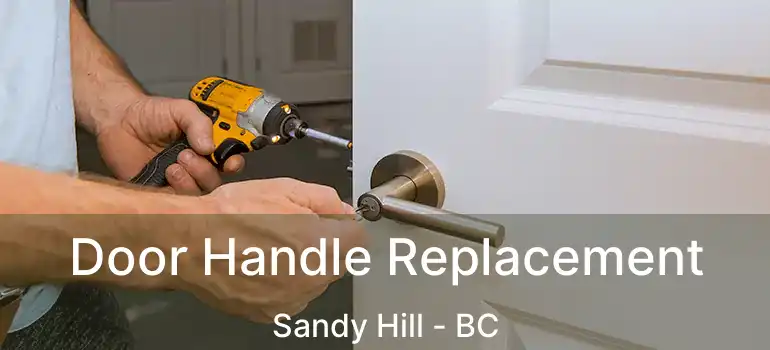  Door Handle Replacement Sandy Hill - BC