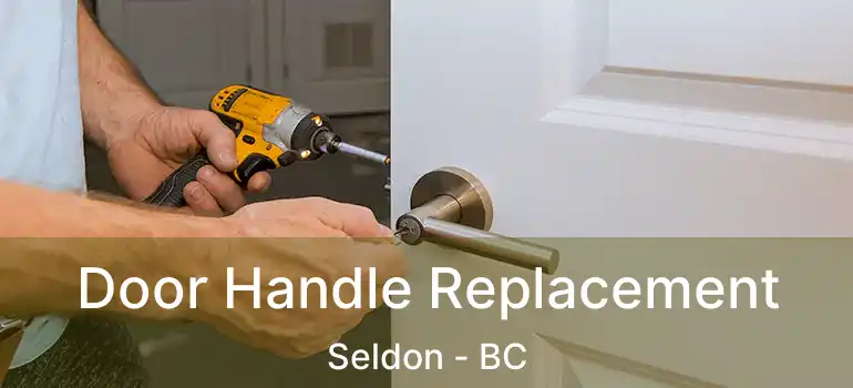 Door Handle Replacement Seldon - BC