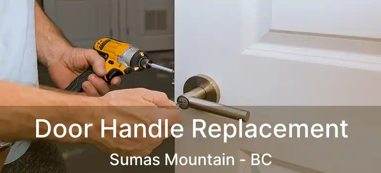  Door Handle Replacement Sumas Mountain - BC