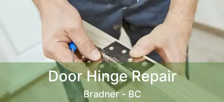  Door Hinge Repair Bradner - BC