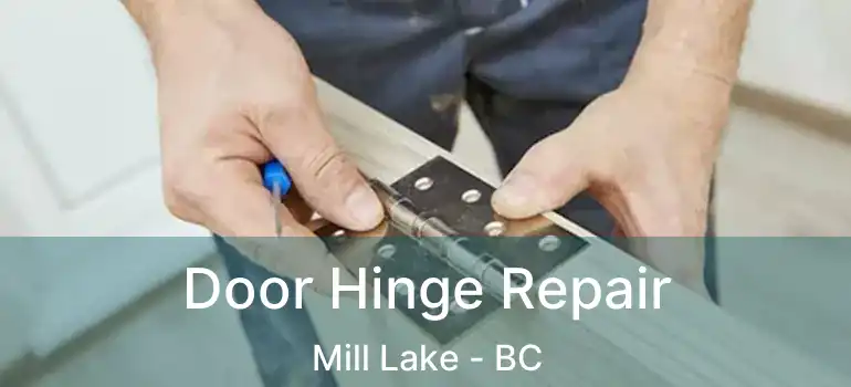  Door Hinge Repair Mill Lake - BC