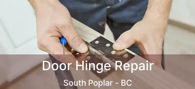  Door Hinge Repair South Poplar - BC