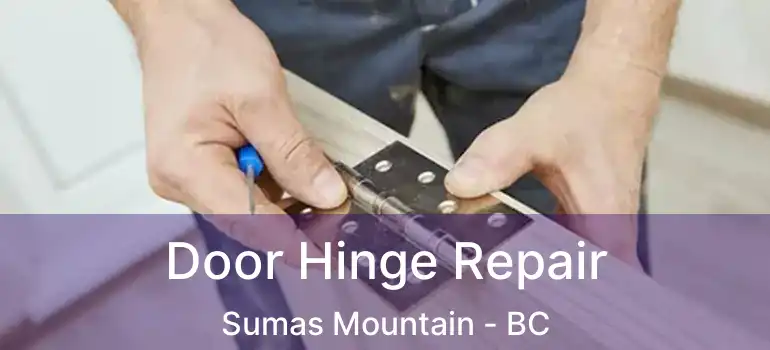  Door Hinge Repair Sumas Mountain - BC