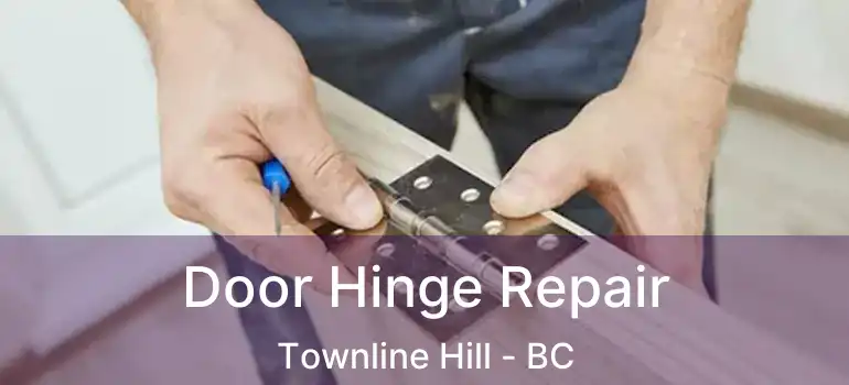  Door Hinge Repair Townline Hill - BC